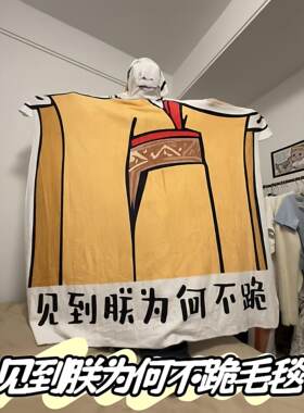 见到朕为何不跪毛毯宿舍椅子毯子皇帝龙图异型搞怪午睡毯子送朋友