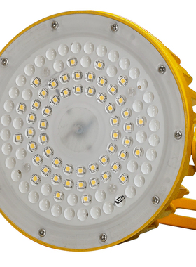 尚为(SEVA)SZSW8150-30F 30W  IP66 防爆LED平台(工作)灯 个 黄色