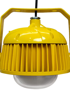 深圳尚为（SEVA）SZSW8410-60Q 防爆LED工作灯