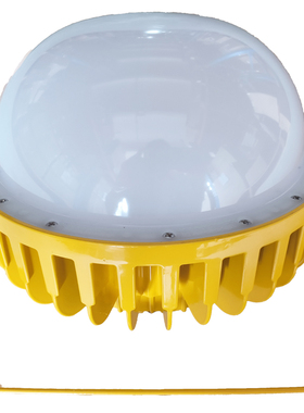 尚为SEVA 防爆LED应急工作灯（含安装） SZSW8150-100QE 单位：套