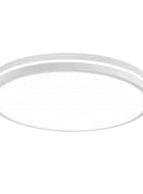 尚为(SEVA) SZSW1271-45 45W 固定式LED灯具 （单位：个） 白色