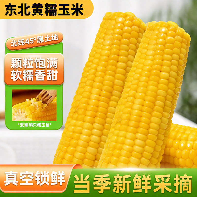 东北大棒黄糯玉米香甜软糯