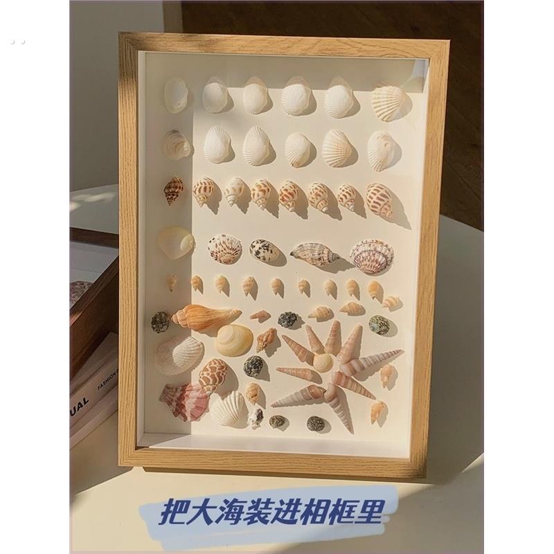 海边贝壳海螺标本框自制手工礼物纪念画框中空正方形简约相框