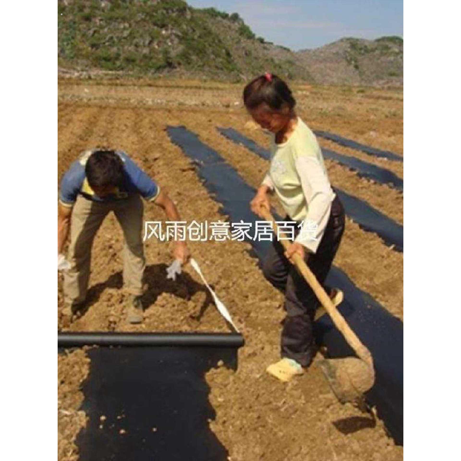 促新款塑料薄膜大棚膜建筑黑白膜农用覆土加厚透明装地膜种植白品