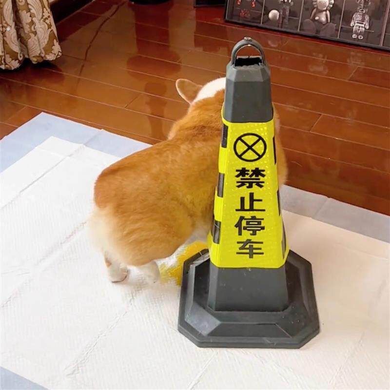 宠物狗狗雪糕桶引导尿柱子禁止停车警示牌路锥公狗立柱防乱尿神器