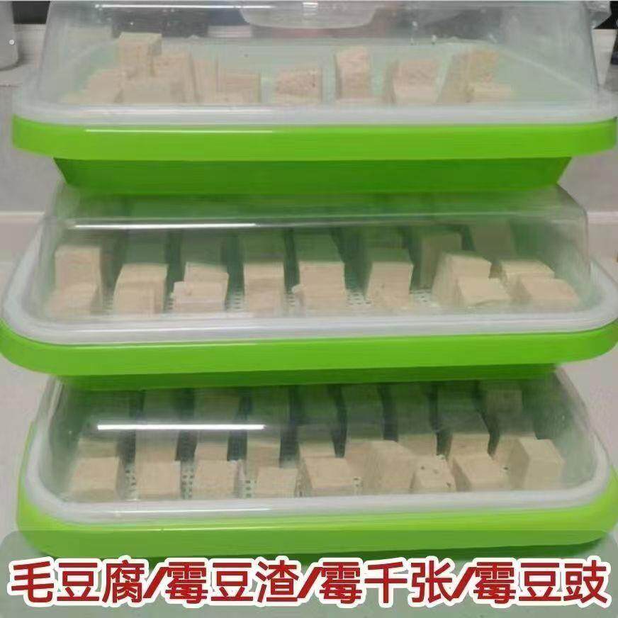发酵专用盘长毛霉豆腐乳曲毛霉全套透明发酵盒霉豆腐制作方法商用