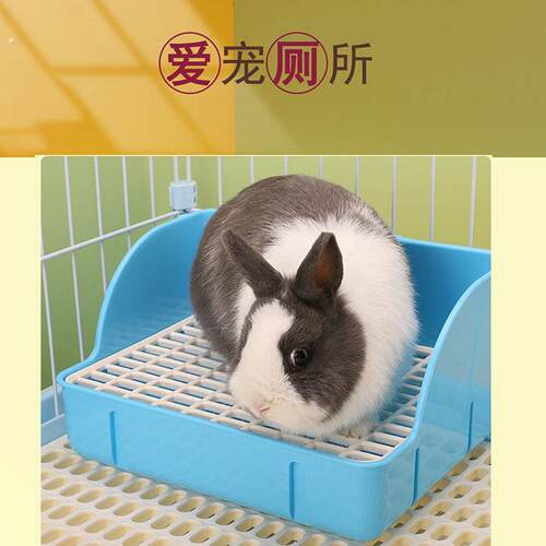 塑料网兔兔方形厕所】兔子宠物尿盆雪貂龙猫荷兰猪宠物大号便盆