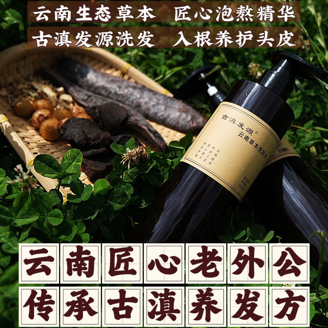 防脱洗发水古滇发源固发养发控油