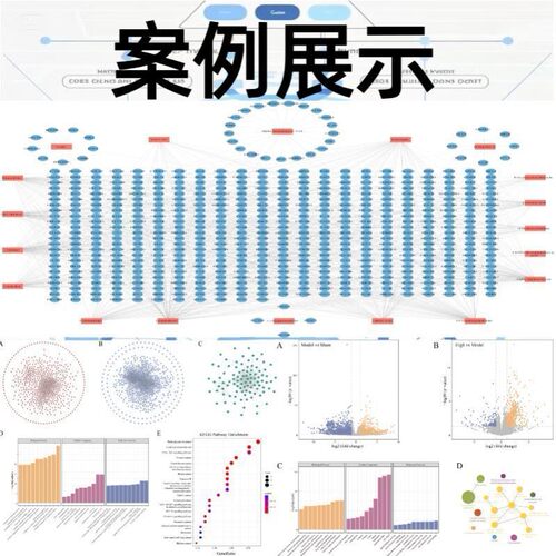 生信分析服务单细胞测序转录组r语言生物信息TCGA GEO数据库挖掘