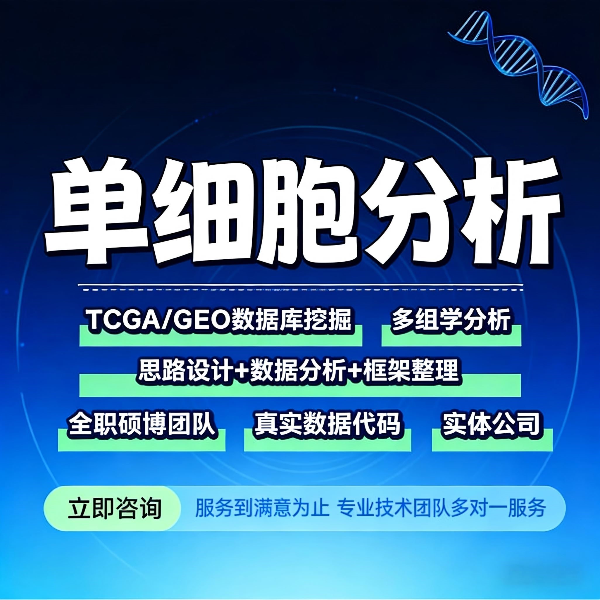 单细胞测序数据分析,单细胞虚拟敲除,空间转录组。