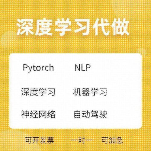 Python深度学习机器学习神经网络代做目标检测语义分割NLP