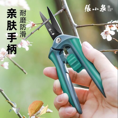 张小泉园艺剪刀修枝花鲜卉树