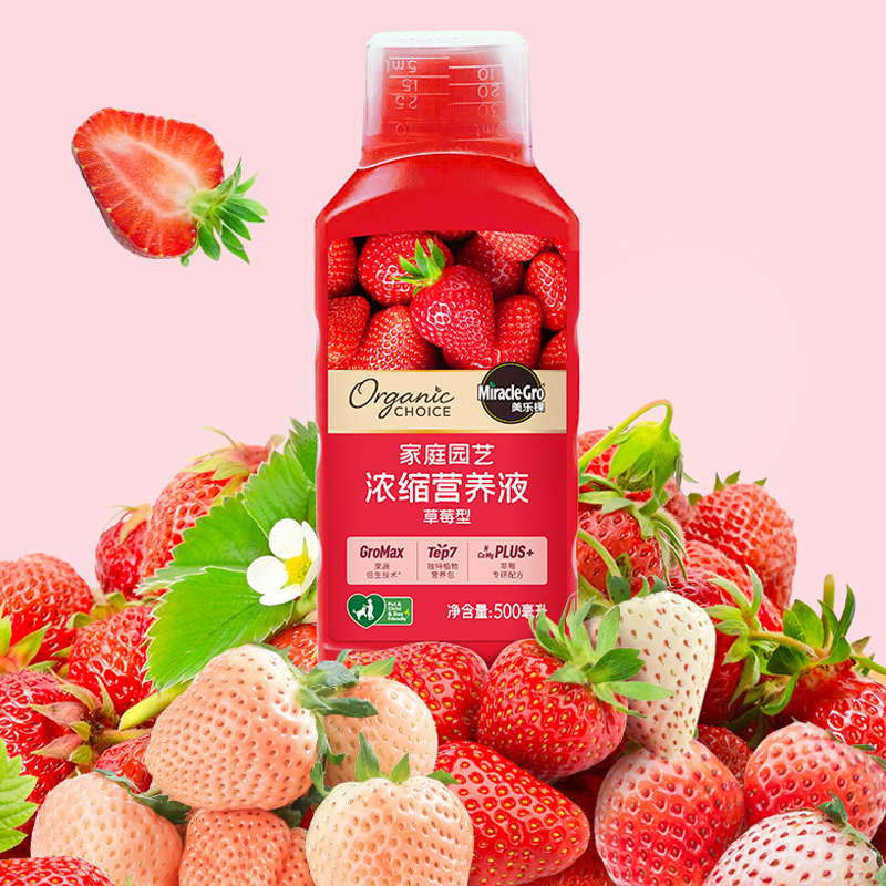 美乐棵营养液有机肥草莓专用肥