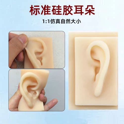 硅胶仿真耳洞穿刺缝合耳朵模型