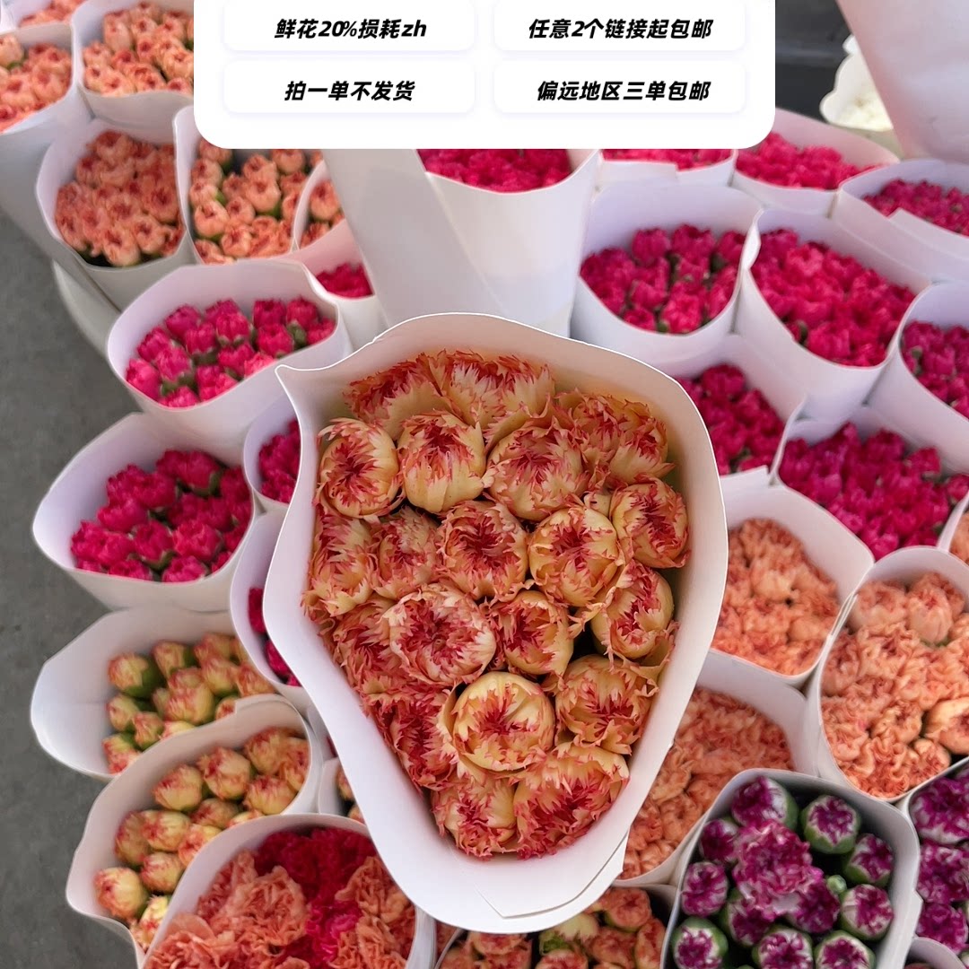 狂欢康乃馨18支 任意2单包邮