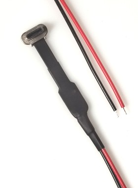 TYPE C 2pin公头软排线FPC材质 加长线132mm