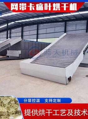 网带式卡痛叶子烘干机 连续式卡痛叶提取物烘干设备 Kratom烘干机
