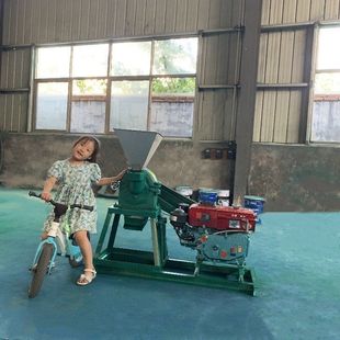 中药渣粉碎机 不锈钢食用盐白糖打散机 有机肥酒糟稻壳细粉设备