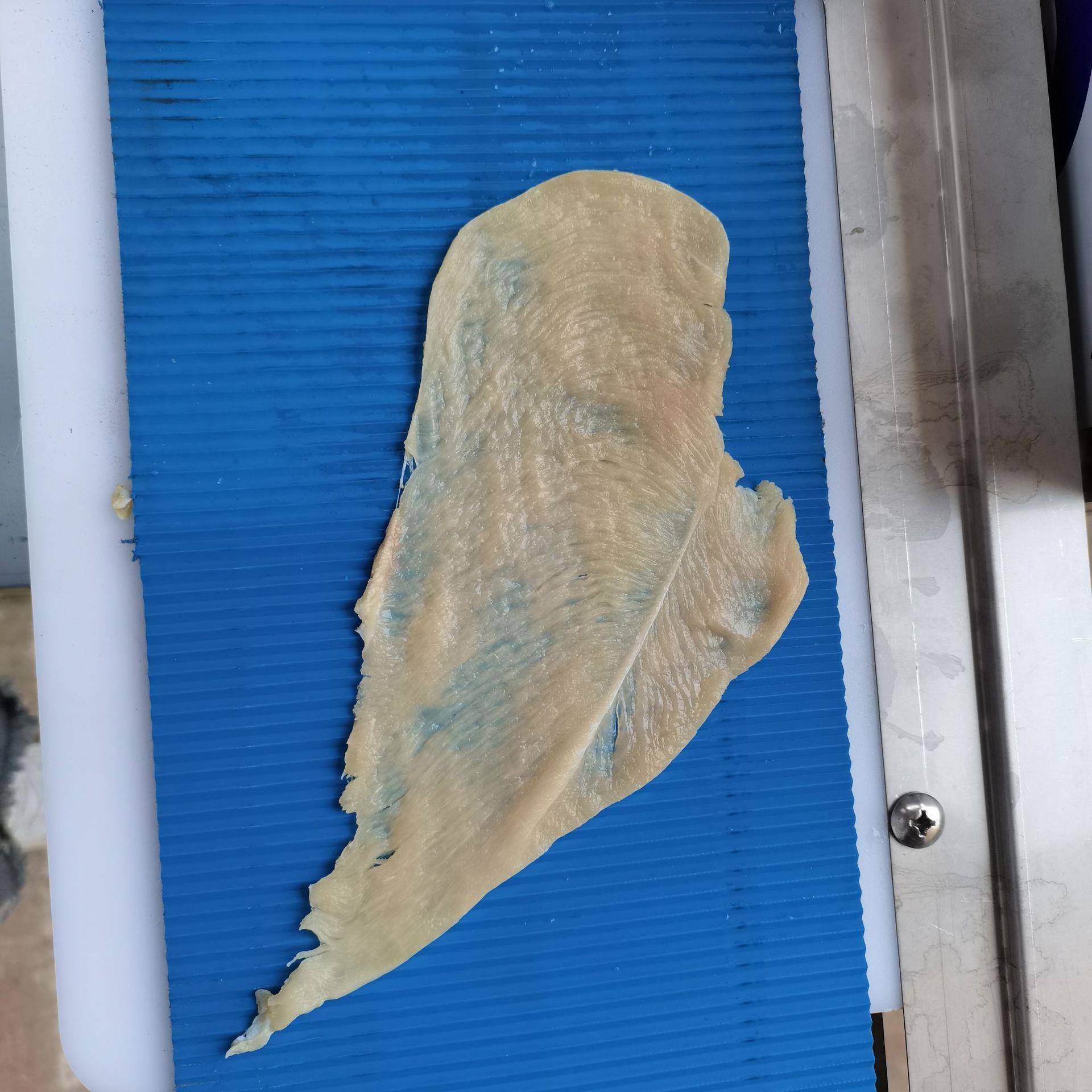 商用肉类全自动牛肉切片切条机 鸭鸡胸肉开片机 全自动鲜肉切片机