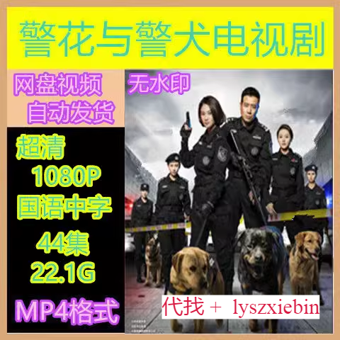 警花与警犬电视剧  电视剧宣传画44全  超清飚宣传画  宣传画画质