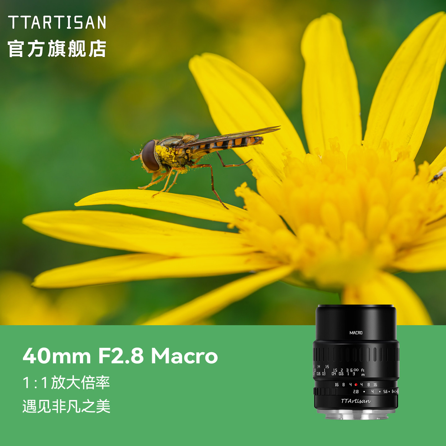 铭匠40mmf2.8微距镜头静物图片