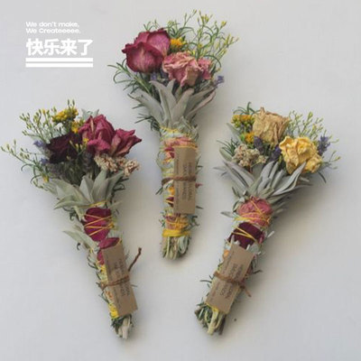 白鼠尾草野生净化消熏香驱蚊增香