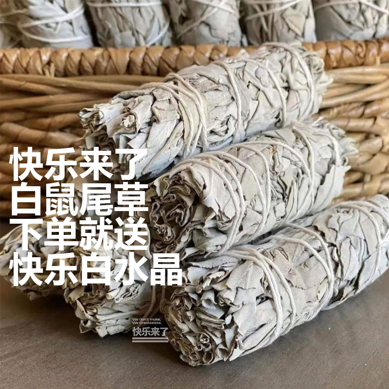 白鼠尾草熏香植物舒缓解疲劳驱蚊