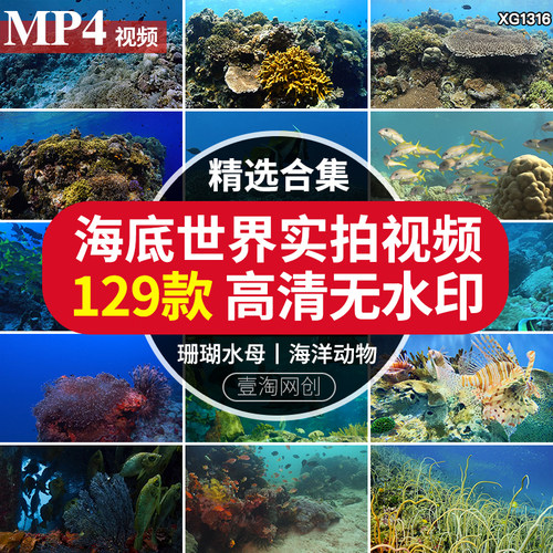 海底世界珊瑚鱼群水母生物海龟鲨鱼海洋动物水草LED背景视频素材