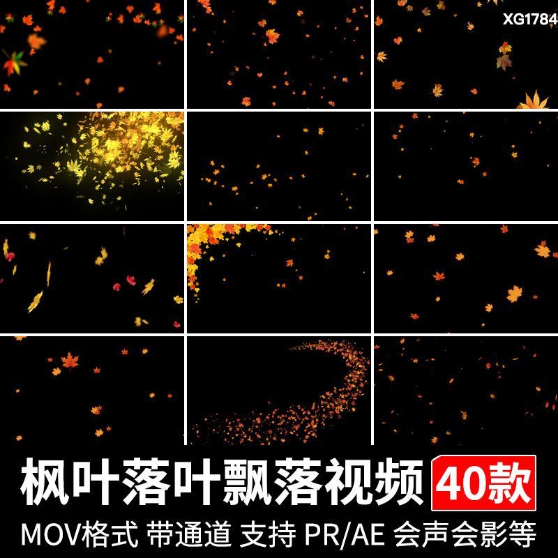 秋天枫叶落叶飘落叶子下落动画元素MOV透明通道后期合成视频素材