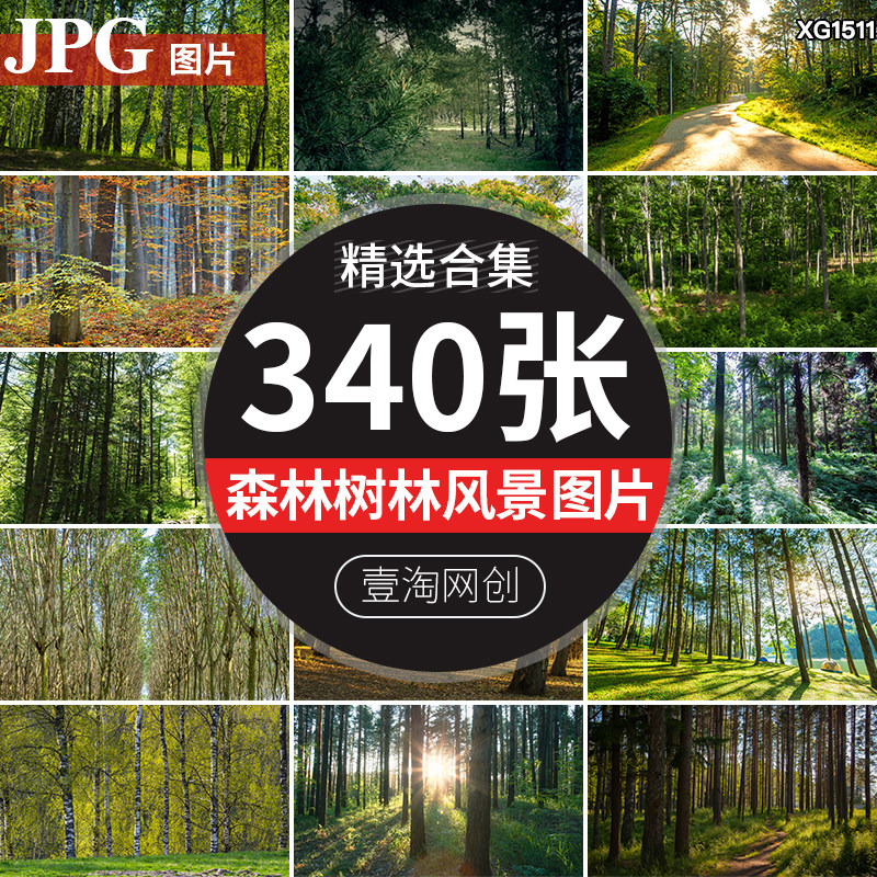 树林原始森林阳光穿透过绿叶绿色大树大自然风景直播背景图片素材