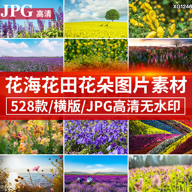 花海花田图片花草花丛花朵开高清电脑壁纸jpg抖音快手自媒体素材