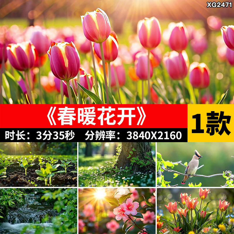 春暖花开植物破土生长万物复苏春天花朵绽放治愈自然风景视频素材