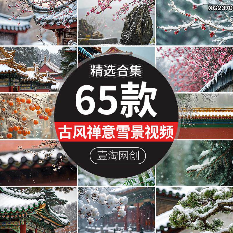 冬天下雪天古建筑雪景冬季中国风意境禅意屋檐特写古风短视频素材