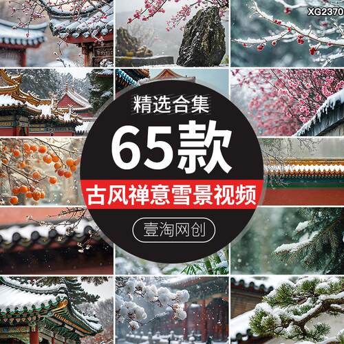 冬天下雪天古建筑雪景冬季中国风意境禅意屋檐特写古风短视频素材