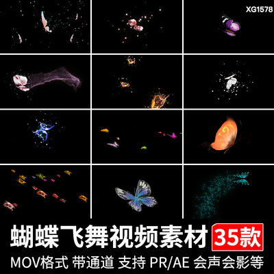 蝴蝶飞舞蝴蝶群拖尾粒子效果元素动画合成动态带透明通道视频素材