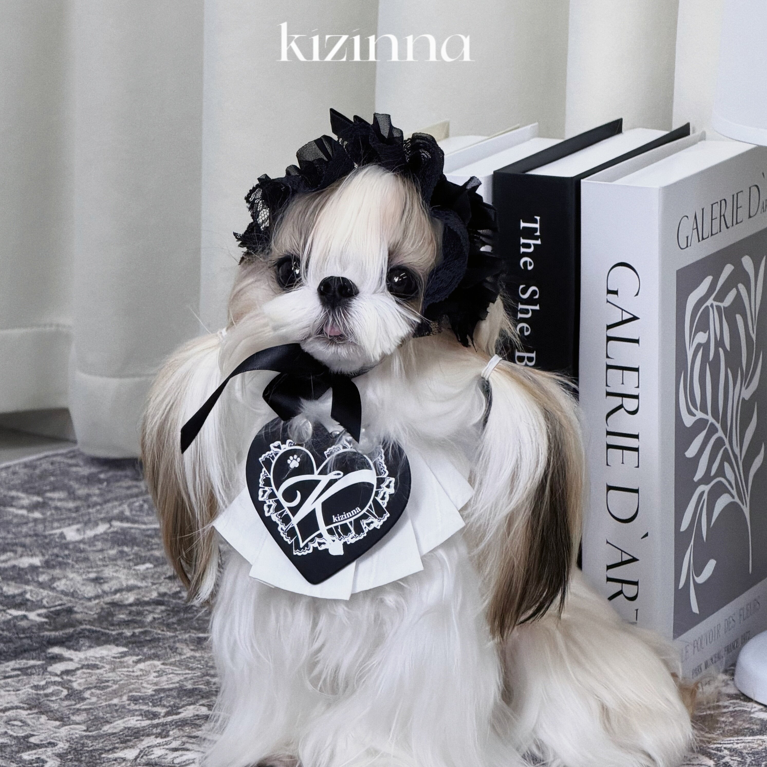 kizinna|哥特星期三 可拆卸皮标两用百褶口水巾围脖猫狗萌宠服饰