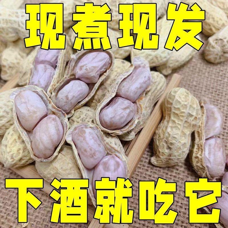 龙岩水煮花生五香水煮花生商用带壳下酒菜真空西湖零食非白晒