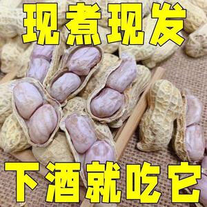 龙岩水煮花生五香水煮花生商用带壳下酒菜真空西湖零食非白晒