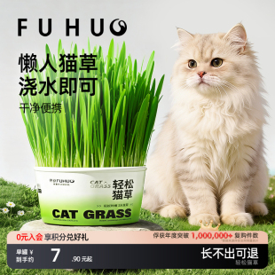 俘获F2轻松猫草盆栽养猫薄猫咪零荷用品植助懒人水化培盆子小猫咪