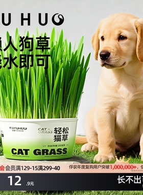 俘获F2狗草犬用狗狗盆栽助狗可以吃化的草毛狗狗草小型犬