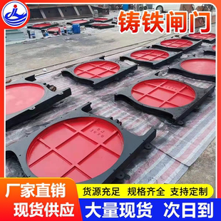 附壁铸铁闸门渠道水库农田灌溉手电两用双止水机闸一体闸门启闭机