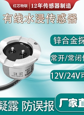水浸传感器水位水侵报警器漏水检测传感器浸水感应器水淹探测器