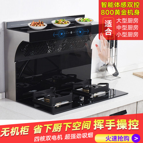 圣星无机箱双电机分体式集成灶
