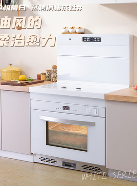 圣星纯白色变频双电磁炉电陶集成灶公寓蒸烤一体侧吸下排左烤右蒸