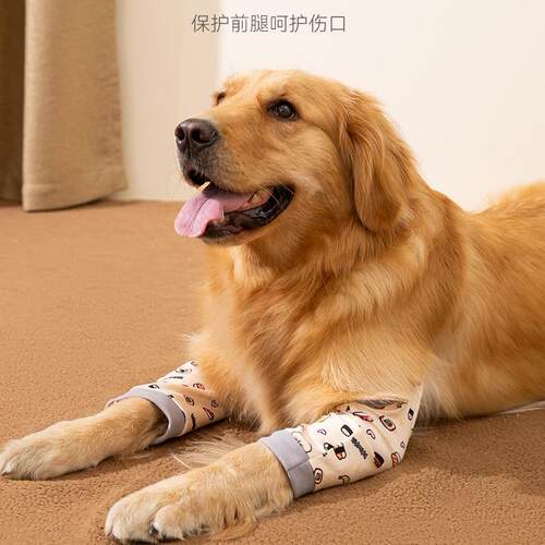 狗狗护肘衣服金毛拉布拉多宠物防脏神器护膝外出保护骨骼四季通用