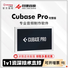 Steinberg/YAMAHA雅马哈Cubase pro14录音编曲专业修音软件商业版