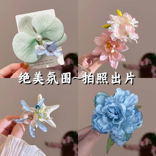海洋系列碎发夹永生花海星贝壳浆果头饰海边旅游度假拍照发卡发饰