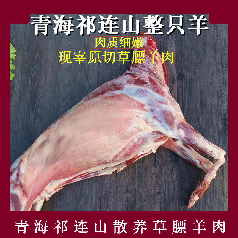 整只羊青海祁连山散养藏系绵羊肉羊排羊腩羊前腿羊后腿羊蝎子