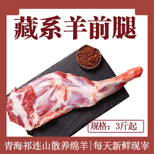 3斤羊前腿京东正宗藏系绵羊新鲜现宰青海祁连山散养草饲真空包装