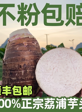 【顺丰送货上门】正宗荔浦芋头带皮25年新鲜现挖粉糯香大芋头商用